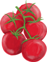 pintura acuarela de vegetales de tomate. png