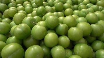 Group Of Green Plum video