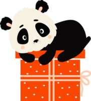 panda mignon sur boîte avec cadeau png