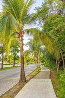 Typical street road and cityscape of Playa del Carmen Mexico. photo