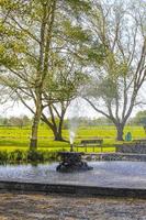 Fountain tall grass water pond park Bad Bederkesa Lake Germany. photo