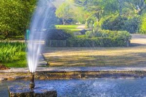 Fountain tall grass water pond park Bad Bederkesa Lake Germany. photo