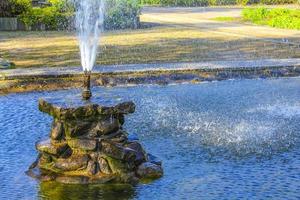 Fountain tall grass water pond park Bad Bederkesa Lake Germany. photo