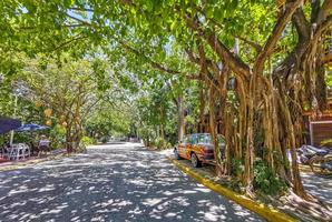 Playa del Carmen Quintana Roo Mexico 2022 Typical street road and cityscape of Playa del Carmen Mexico. photo