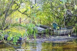 Old broken boats overgrown with green moss and mold Germany. photo