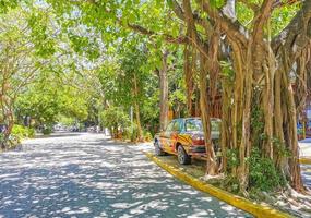 Playa del Carmen Quintana Roo Mexico 2022 Typical street road and cityscape of Playa del Carmen Mexico. photo