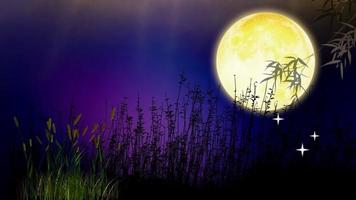 moon night, autumn impression video