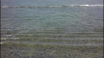 kalmte golven Aan de strand.. video