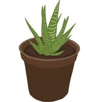 Zebra haworthia drawings, Green Plant in brown pot Isolated Vector, Illustration, Minimalist plant, for printing or home decoration. Cactus and succulent plant vector. vector