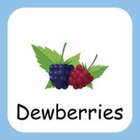 Dewberries Clip art with text, Flat design. Education for kids. Vector Illustration