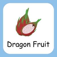 Dragon Fruit Clip art with text, Flat design. Education for kids. Vector Illustration