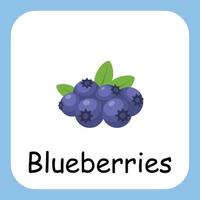 Blueberries Clip art with text, Flat design. Education for kids. Vector Illustration