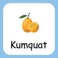 Imágenes prediseñadas de kumquat con texto, diseño plano. educación para niños. ilustración vectorial vector