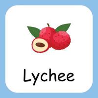 Lychee Clip art with text, Flat design. Education for kids. Vector Illustration