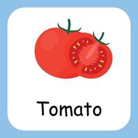 Tomato Clip art with text, Flat design. Education for kids. Vector Illustration