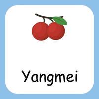 Yangmei Clip art with text, Flat design. Education for kids. Vector Illustration