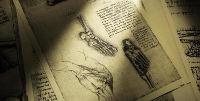 Anatomy art by Leonardo Da Vinci in Kandy medical exhibition photo