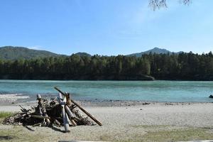 a pile of branches piled on the riverbank photo