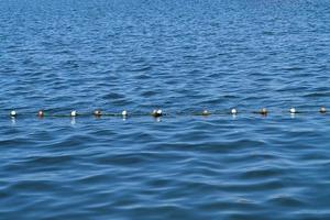 buoy rope barrier on the water with floats photo