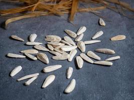 White large seeds on a black background. Sunflower seeds photo