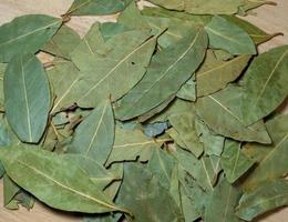 Bay leaves on the table. Background from laurel flax. photo