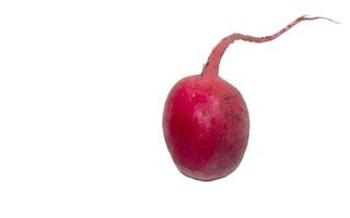 Radish on a white background. Harvest from a personal plot photo