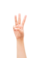 hand gestures illustrations isolated background png