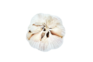 garlic isolated background png