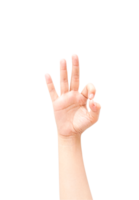 hand- gebaren illustraties geïsoleerd achtergrond png