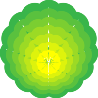 estrela verde rótulo de etiqueta de explosão brilhante decoração brilhante ilustração de fundo abstrato png