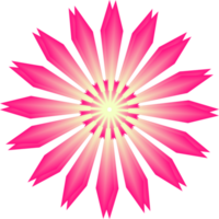 ilustração de design gráfico de fundo abstrato de pétala de flor rosa linda png