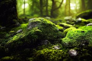 A computer generated illustration of lush green moss on a forest floor with rocks and trees. A.I. generated art. photo