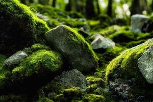 A computer generated illustration of lush green moss on a forest floor with rocks and trees. A.I. generated art. photo