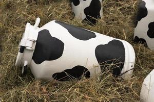 la lata de leche está pintada con manchas blancas y negras, un recipiente para recoger y almacenar leche en el contexto de hierba seca, paja, instalación, enfoque selectivo. foto