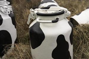 la lata de leche está pintada con manchas blancas y negras, un recipiente para recoger y almacenar leche en el contexto de hierba seca, paja, instalación, enfoque selectivo. foto