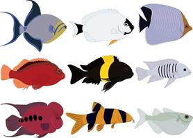 Tropical exotic marine aquarium fish collection vector illustration