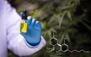 Doctors  holding bottle of Cannabis oil in pipette,hemp product, CBD cannabis OIL.  medical marijuana concept. photo