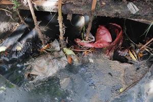 selectively focus on garbage stuck in ditches, which can clog and cause flooding photo