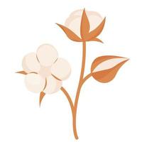 branch with cotton flowers vector