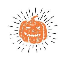 Halloween pumpkins set. Hand drawn illustration. vector