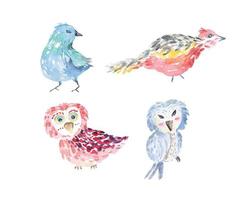 Cute birds watercolor.Cartoon poultry parrot art style kids.Style drawn by child.Abstract animal.owl vector