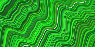 Light Green vector background with curved lines.