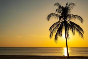 arena de playa puesta de sol o amanecer con palmera de coco foto