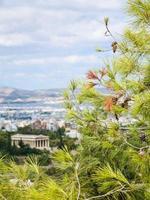 green twig and view of Temple of Hephaestus photo