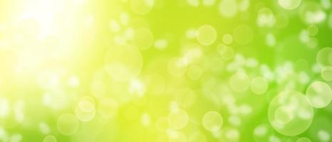 blur background,green bokeh abstract background. photo