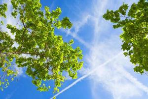 spring blue sky with white cloud photo