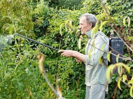 man spraying of pesticide on country garden photo