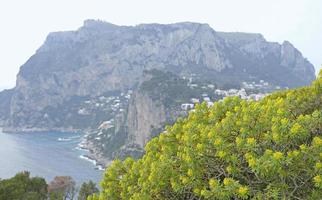 Flowers with the coast of Capri, Italy, in the background photo
