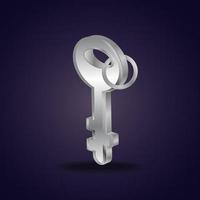 Silver Key on black background vector
