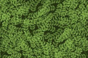 beautiful leaf or nature background in green vector